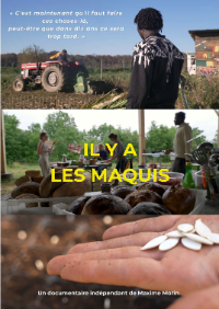 Affiche du film